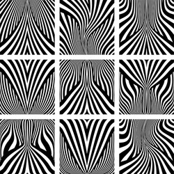 lines patterns vector image