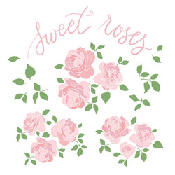 set three hand drawn rose bouquets vector image