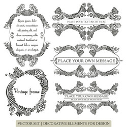 Calligraphic design elements vector