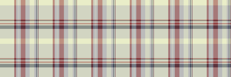 aesthetic pattern tartan checker check texture vector image