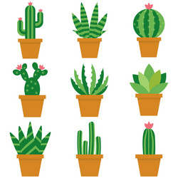 Cactus icons in a flat style on white background vector