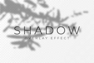 shadow overlay effect transparent soft light vector image