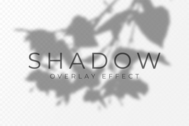 shadow overlay effect transparent soft light vector image