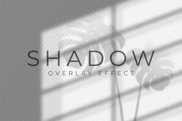 shadow overlay effect and light vector image