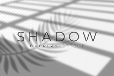 shadow overlay effect and light vector image