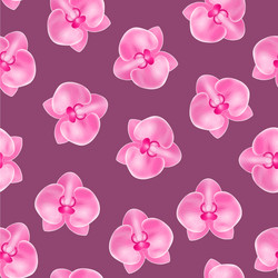 Realistic detailed 3d flower orchid seamless vector