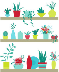 shelves with plants and vases of flowers vector image