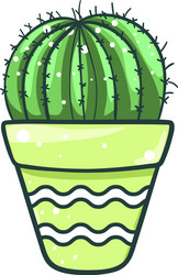 home cactus pot succulent green flower decor vector image