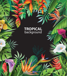 background with tropical plants vector image