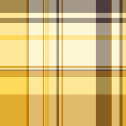 tartan textile texture of background pattern vector image