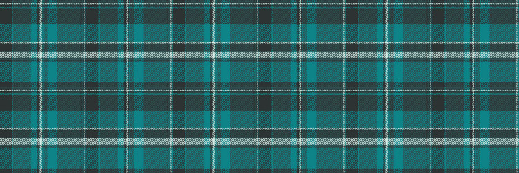 aged tartan texture plaid symmetry textile vector image