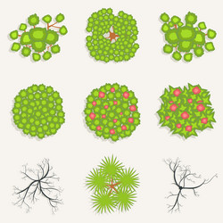 trees in top view set of green and burnt vector image