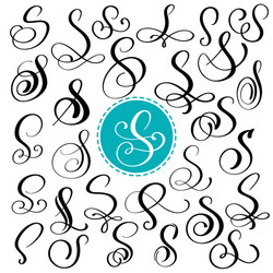 set letter s hand drawn flourish vector image