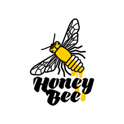 hand-drawn bee logo for honey products vector image