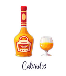 calvados alcohol bottle and glass for bar drink vector image