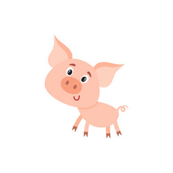 funny little smiling pig with swirling tail vector image