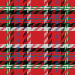 seamless pattern scottish tartan vector image