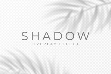 shadow overlay effect transparent soft light vector image