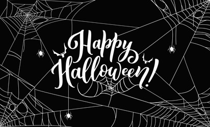 halloween banner with spiders and cobweb design vector image