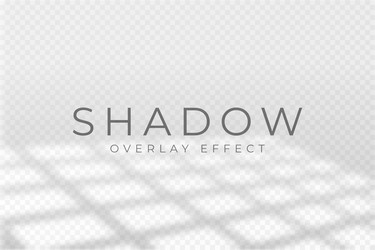 shadow overlay effect transparent soft light vector image