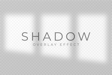 shadow overlay effect transparent soft light vector image