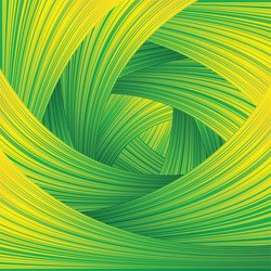 fresh green swirl background vector image