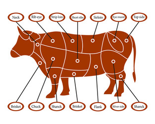 Cow scheme vector