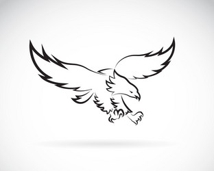 eagle vector image