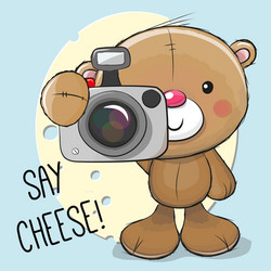 cute cartoon teddy bear with a camera vector image