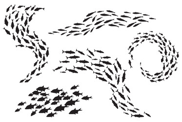 school fish silhouette group sea shoal small vector image