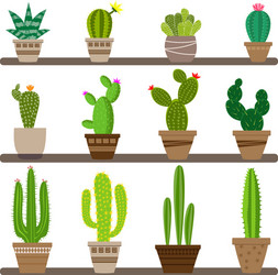 Home cactus icons in a flat style vector