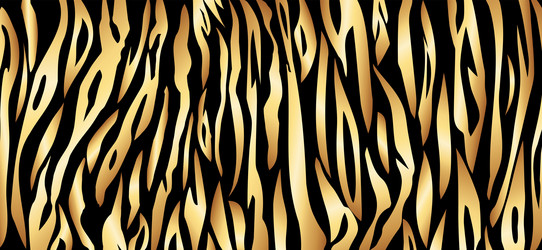 Tiger luxurious gold black stripe vector