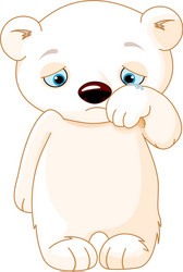 sad polar bear vector image