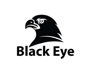 black eye logo vector image