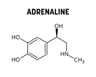 Adrenaline structural formula of molecular vector