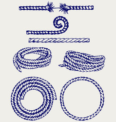 nautical rope knots vector image