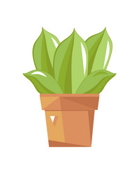 Succulent cactus in pot isolated icon vector