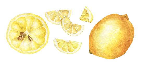 set of fresh lemon watercolor vector image