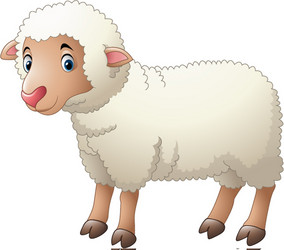 cartoon of cute sheep animals and interesting vector image