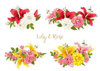 rose and lily set card vector image