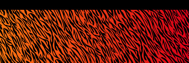 Tiger orange black stripe background vector