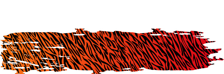 brush stroke with tiger stripe pattern vector image