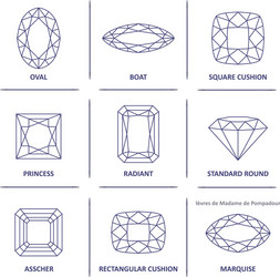 blueprint outline jewelry gems cuts vector image