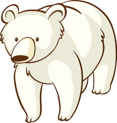 polar bear on white background vector image