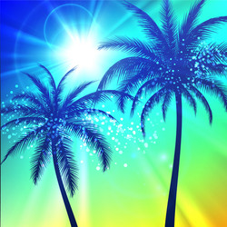 summer background with palm silhouettes vector image