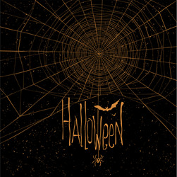 halloween background spider web vector image