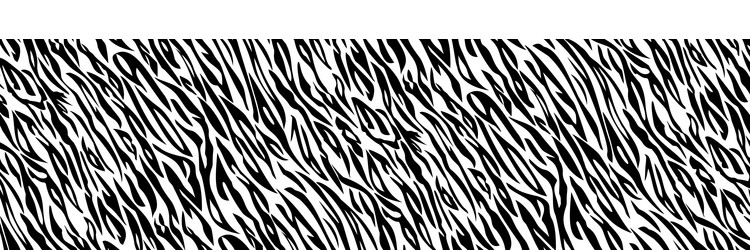 Tiger black white stripe background animal vector