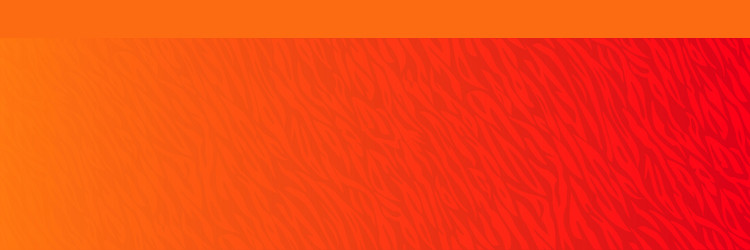 Tiger orange stripe background animal skin vector