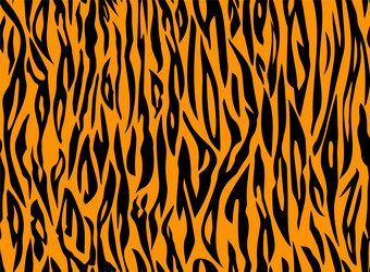 tiger orange black stripe pattern vector image