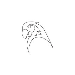 one continuous line drawing cute parrot bird vector image